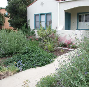 California Native Gardens